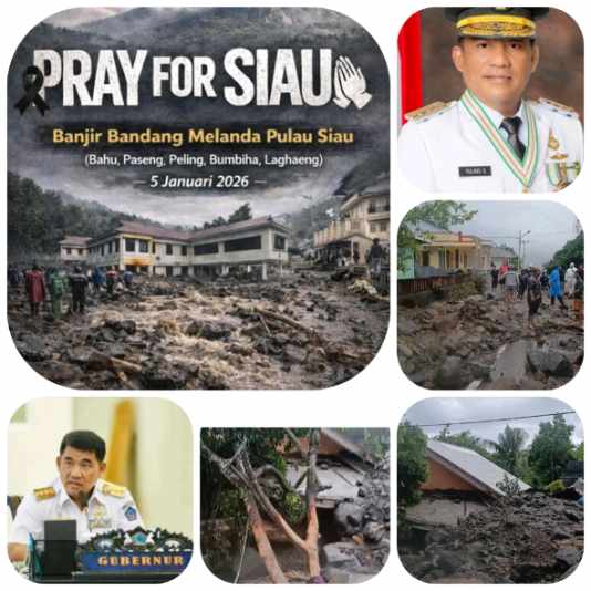 resized_compressed_1767615341295