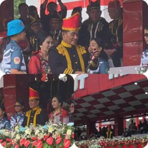 resized_compressed_1771057274259